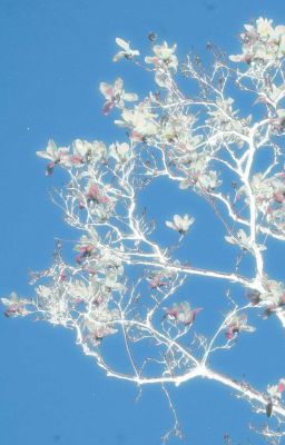 keon; chuyển ngữ | tuyển tập những phân đoạn dở dang