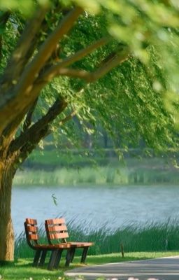 Keonhyeon • Lời Hứa Lưỡng Nan 