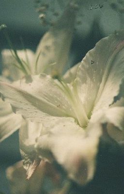 [keonhyeon] - thằng điên