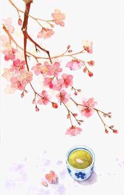 Kết Hôn Không Có Tình Yêu (Đoản ngắn)