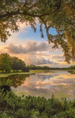 Khúc ca ánh trăng và mặt trời