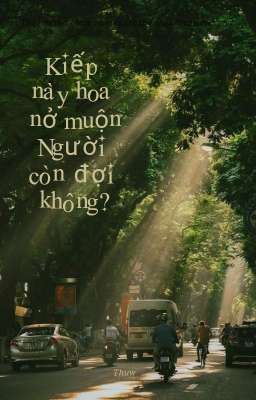 Kiếp Này Hoa Nở Muộn, Người Còn Đợi Không?