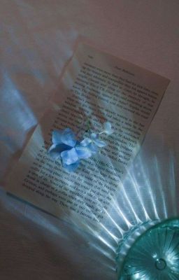 | Kiisns | | Sếch | Mẫu Vật