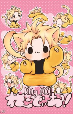 Kitty DIO - Nice to meet you!