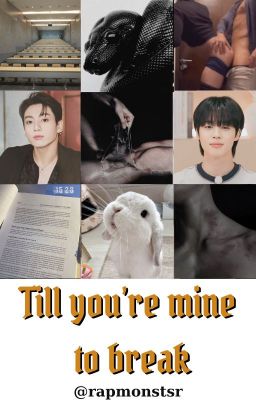 •kookmin• [v-trans] till you're mine to break