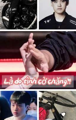 Là do tình cờ chăng?! 