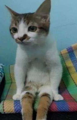 Là Một Bé Ngoan 