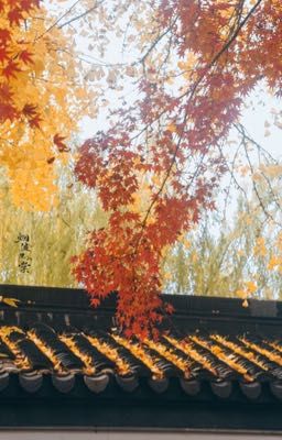 Lá Rơi Bên Hiên Vắng