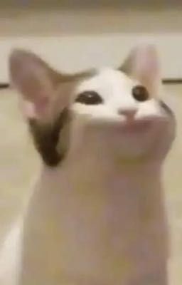 |lanhnguyên| cảm
