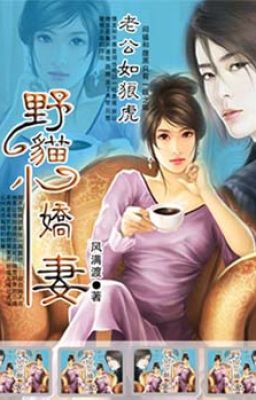 Lão công như tàn bạo：Mèo hoang tiểu kiều thê - Phong mãn độ