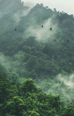 Lập Đông-Nghe tiếng đỗ quyên