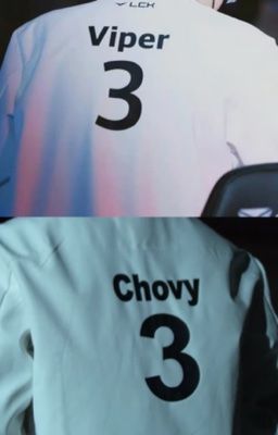 lck | con vàng con bạc