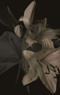 LCK | Địa Phủ Có Wifi Không Thế ? 