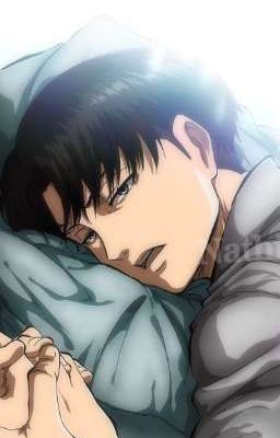 [levi ackerman x reader ] Chỉ Riêng Mình Em 