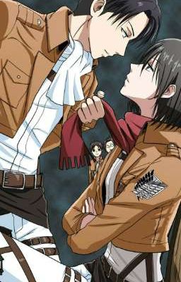  [ Levi x Mikasa ] Gặp Lại? 