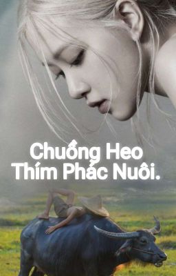 [Lichaeng] Chuồng Heo Thím Phác Nuôi