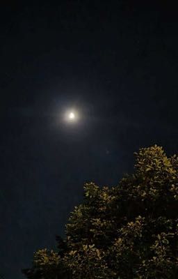 Liệu có còn gặp lại?