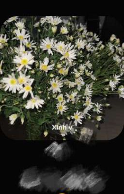 [linh sơn] em sơn của anh linh.