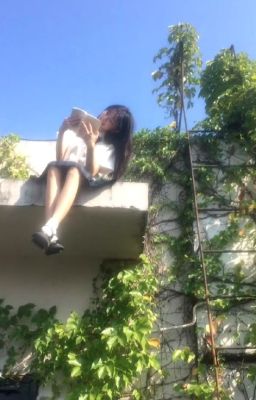 linhray | chăm bầu.