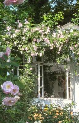 [Long Hùng ][Sen Hải ] Nắng sau cơn giông 