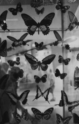 [longfic/abo] jaesahi | mess-age