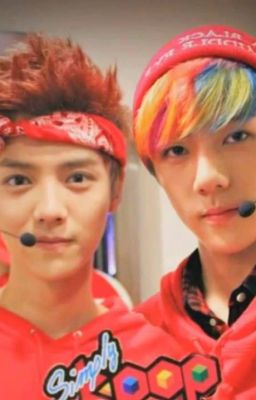 [Longfic] [HunHan] We Got Married