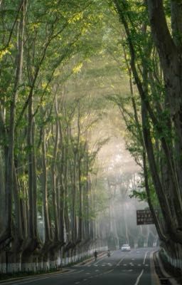 Lưng Chừng Mưa Nắng [Giả tưởng]