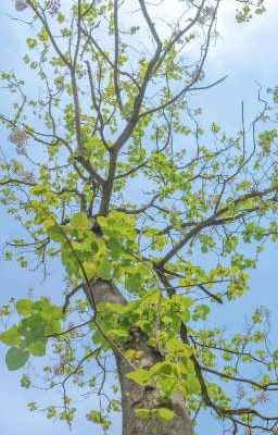 Luôn chờ đợi người