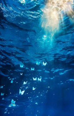 Lưu Quang Đáy Biển