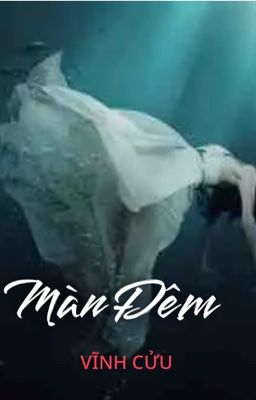 MÀN ĐÊM VĨNH CỬU-ViTheNgocAnh