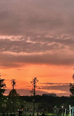 [MarAce] Ngọn lửa