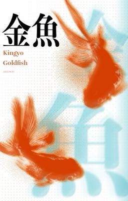 marhoon | cá vàng bơi trong bể nước