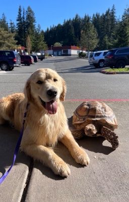 marhoon ᐡ ᐧ ﻌ ᐧ ᐡ 𓆉 friendzone