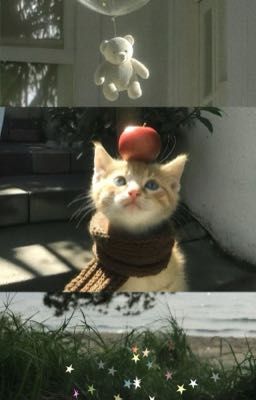 marhoon ⋆˚ 𝜗🐈‍⬛𝜚˚⋆ trùm trường đã đổ em chưa?