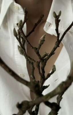 markeon. whispers of winter