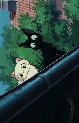 [ marseong ] chuyện giận dỗi nhỏ xíu