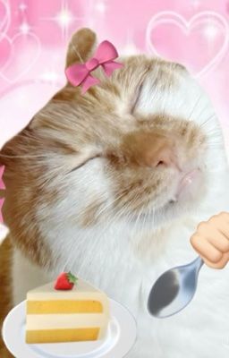 [masonb] chuyện tình hộp sữa đậu