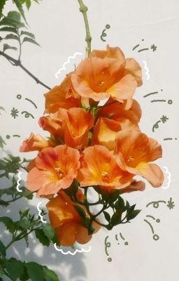 masonb | gã thợ xăm