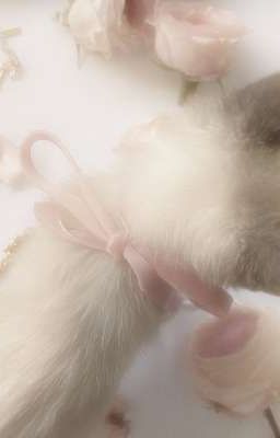 Mất trí nhớ ☆{Choker}☆
