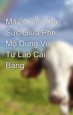 Mấy Cuộc Thử Sức Giữa Phe Mộ Dung Với Tứ Lão Cái Bang