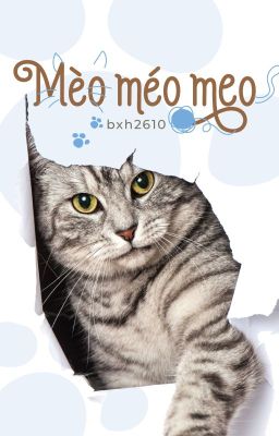 mèo méo meo