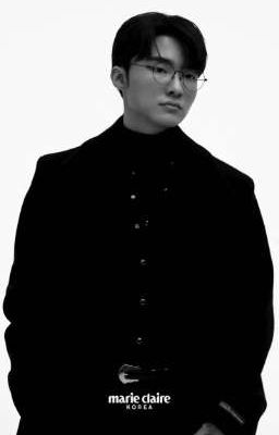 Mèo Tổng - JeongLee