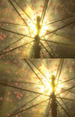 [ MiuCam ] Có Thật Là Đơn Phương?