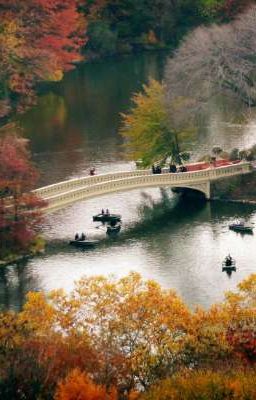 [Miyabichi No Onmyouji] Nhân Sinh Hư Ảo 