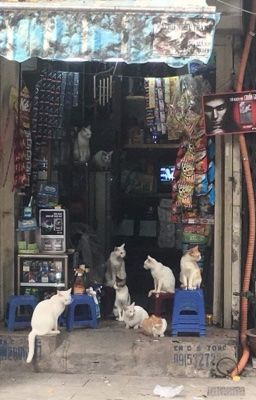 mỗi ngày một chuyện