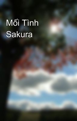 Mối Tình Sakura