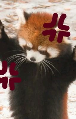 một đời ᶻ 𝗓 𐰁