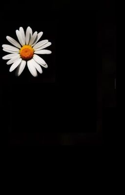 Một góc nhỏ trong tim