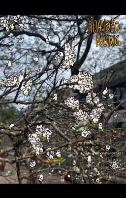 Một Ngày Của Đôi Ta