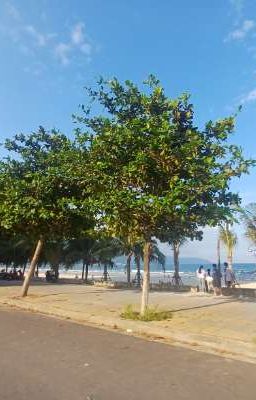 Một ngày, ông tiêu hết cả nhà